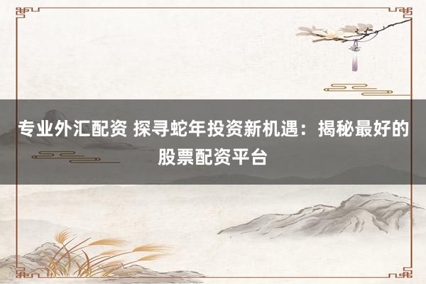 专业外汇配资 探寻蛇年投资新机遇：揭秘最好的股票配资平台