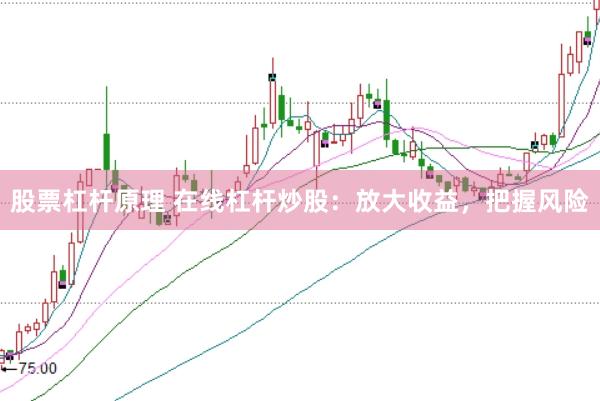 股票杠杆原理 在线杠杆炒股：放大收益，把握风险