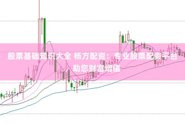 股票基础知识大全 杨方配资：专业股票配资平台，助您财富增值