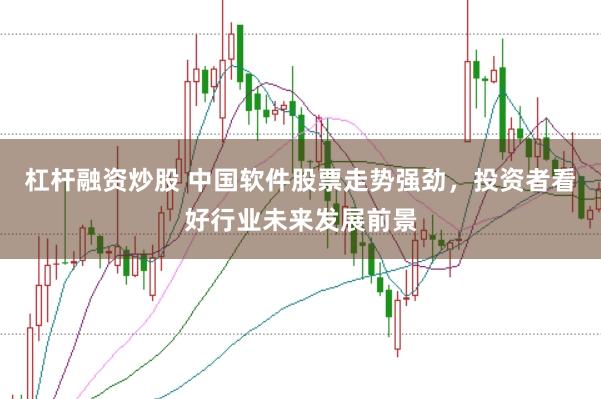 杠杆融资炒股 中国软件股票走势强劲，投资者看好行业未来发展前景
