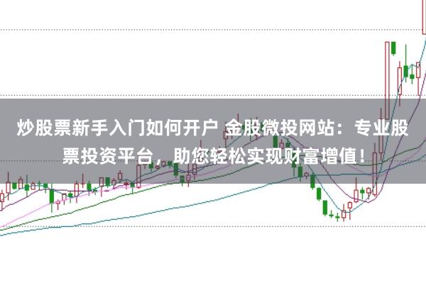 炒股票新手入门如何开户 金股微投网站：专业股票投资平台，助您轻松实现财富增值！
