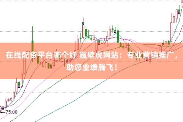 在线配资平台哪个好 赢壁虎网站：专业营销推广，助您业绩腾飞！
