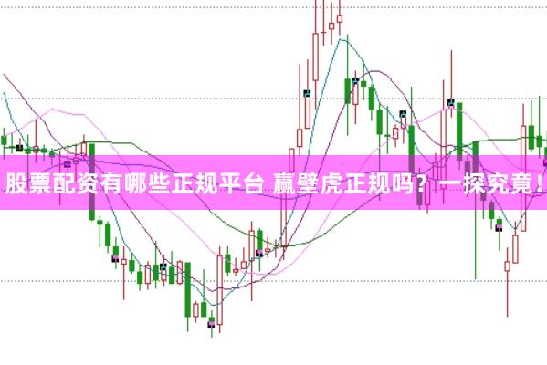 股票配资有哪些正规平台 赢壁虎正规吗？一探究竟！