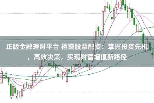 正版金融理财平台 栖霞股票配资：掌握投资先机，高效决策，实现财富增值新路径