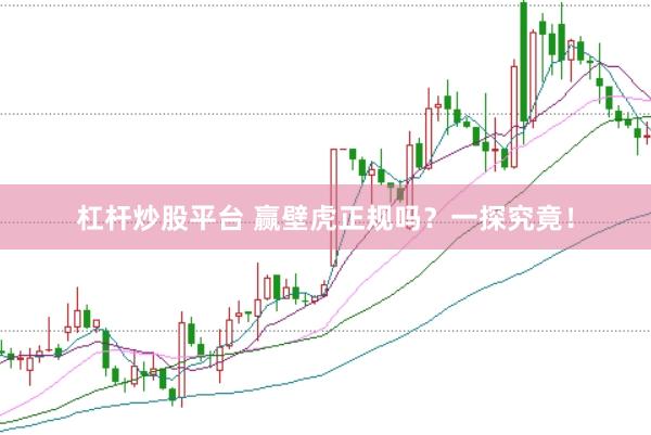 杠杆炒股平台 赢壁虎正规吗？一探究竟！