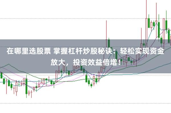 在哪里选股票 掌握杠杆炒股秘诀：轻松实现资金放大，投资效益倍增！