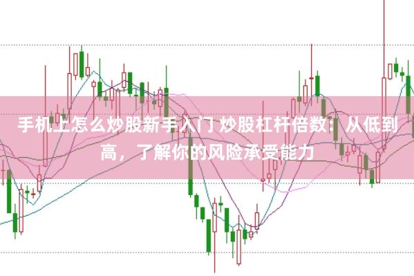 手机上怎么炒股新手入门 炒股杠杆倍数：从低到高，了解你的风险承受能力
