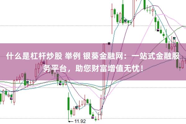 什么是杠杆炒股 举例 银葵金融网：一站式金融服务平台，助您财富增值无忧！