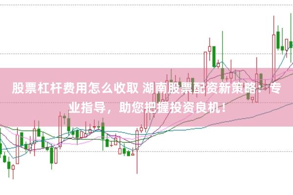 股票杠杆费用怎么收取 湖南股票配资新策略：专业指导，助您把握投资良机！