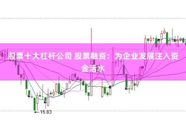 股票十大杠杆公司 股票融资：为企业发展注入资金活水