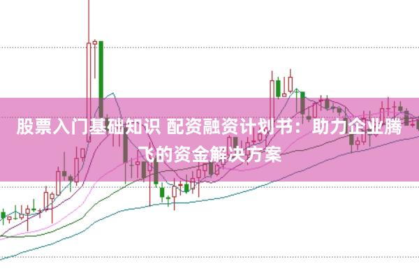 股票入门基础知识 配资融资计划书：助力企业腾飞的资金解决方案