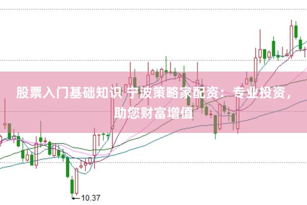 股票入门基础知识 宁波策略家配资：专业投资，助您财富增值