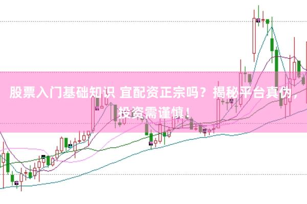 股票入门基础知识 宜配资正宗吗？揭秘平台真伪，投资需谨慎！