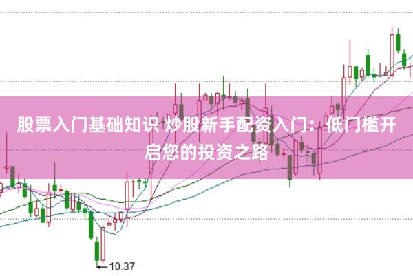股票入门基础知识 炒股新手配资入门：低门槛开启您的投资之路