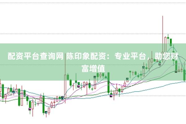 配资平台查询网 陈印象配资：专业平台，助您财富增值