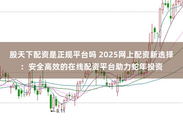 股天下配资是正规平台吗 2025网上配资新选择：安全高效的在线配资平台助力蛇年投资