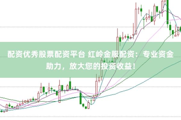 配资优秀股票配资平台 红岭金服配资：专业资金助力，放大您的投资收益！