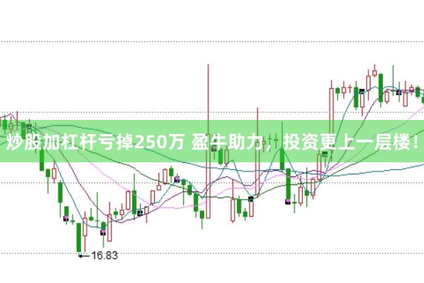 炒股加杠杆亏掉250万 盈牛助力，投资更上一层楼！