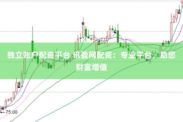 独立账户配资平台 讯盈网配资：专业平台，助您财富增值