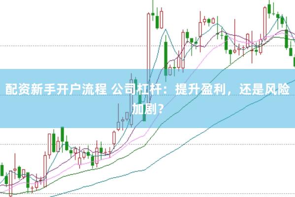 配资新手开户流程 公司杠杆：提升盈利，还是风险加剧？
