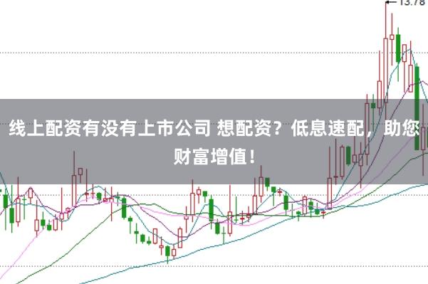 线上配资有没有上市公司 想配资？低息速配，助您财富增值！