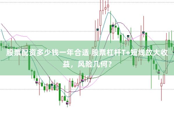 股票配资多少钱一年合适 股票杠杆T+短线放大收益，风险几何？