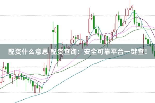 配资什么意思 配资查询：安全可靠平台一键查！