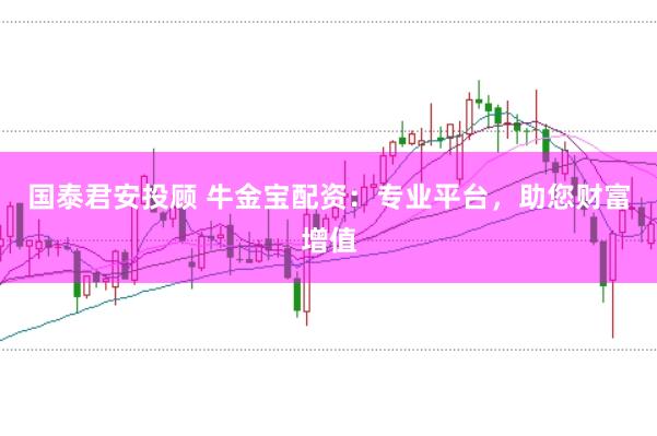 国泰君安投顾 牛金宝配资：专业平台，助您财富增值