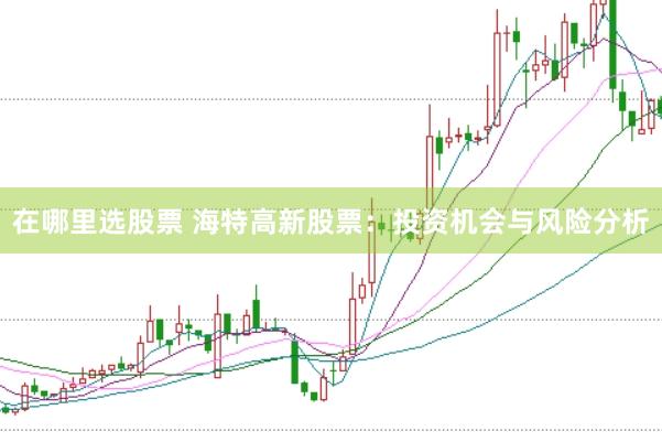 在哪里选股票 海特高新股票：投资机会与风险分析