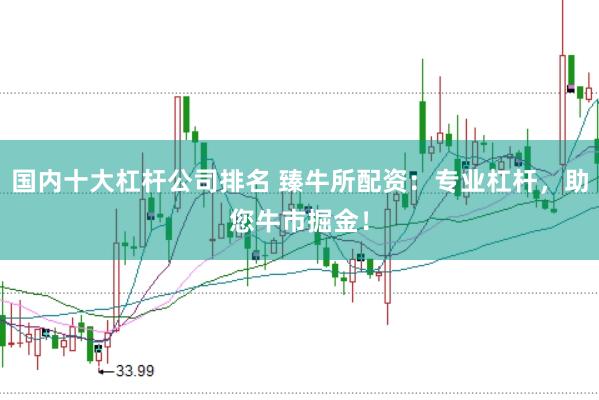 国内十大杠杆公司排名 臻牛所配资：专业杠杆，助您牛市掘金！