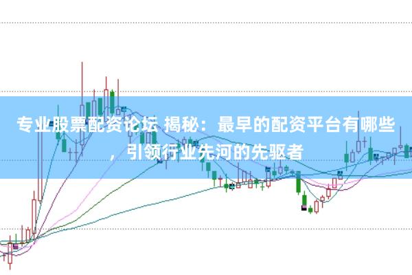 专业股票配资论坛 揭秘：最早的配资平台有哪些，引领行业先河的先驱者