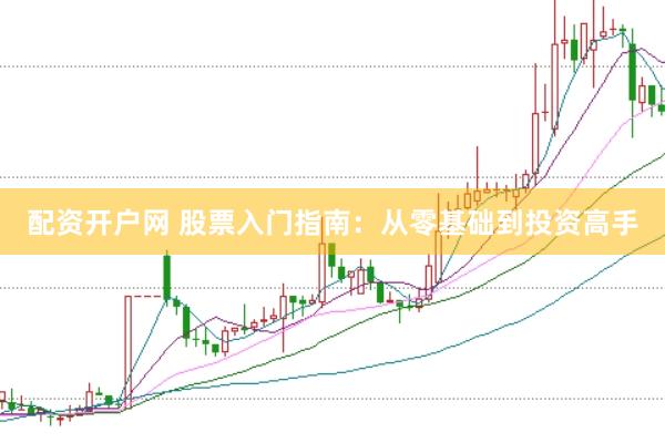 配资开户网 股票入门指南:从零基础到投资高手