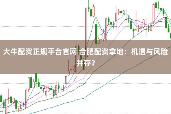 大牛配资正规平台官网 合肥配资拿地：机遇与风险并存？