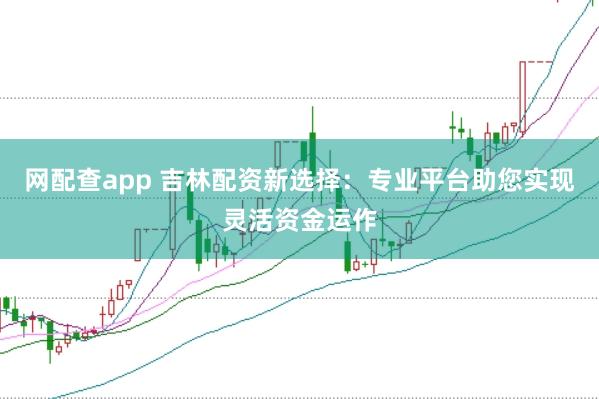 网配查app 吉林配资新选择:专业平台助您实现灵活资金运作