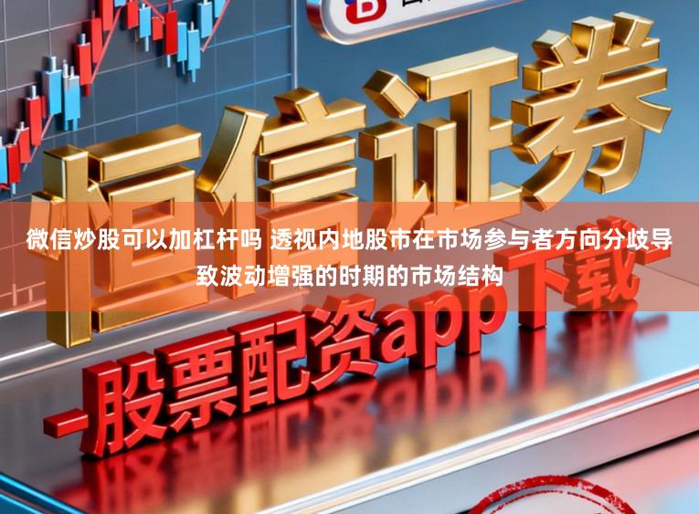 微信炒股可以加杠杆吗 透视内地股市在市场参与者方向分歧导致波动增强的时期的市场结构